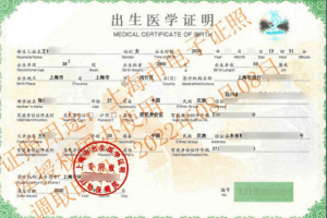 出生证明查询