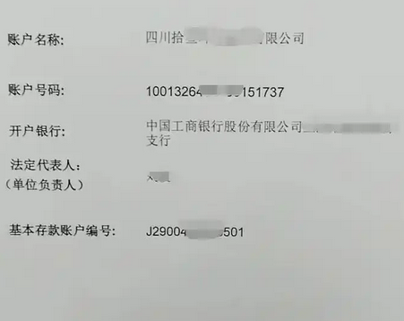 提供公司名称进行对公账户查询